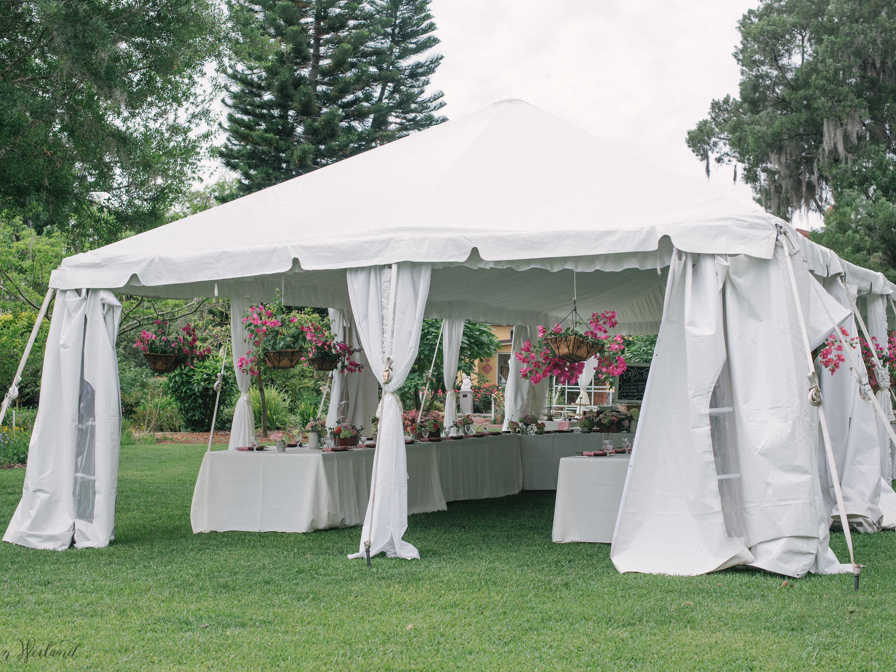 Tent String Globe Lighting - A to Z Event Rentals, LLC.